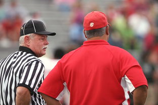 爱游戏全站app注册-意甲裁判语义分析辅助判罚准确性的应用探讨，意甲裁判名单